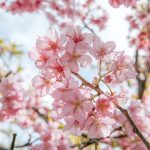 4月は引きこもり脱出の大チャンス!?